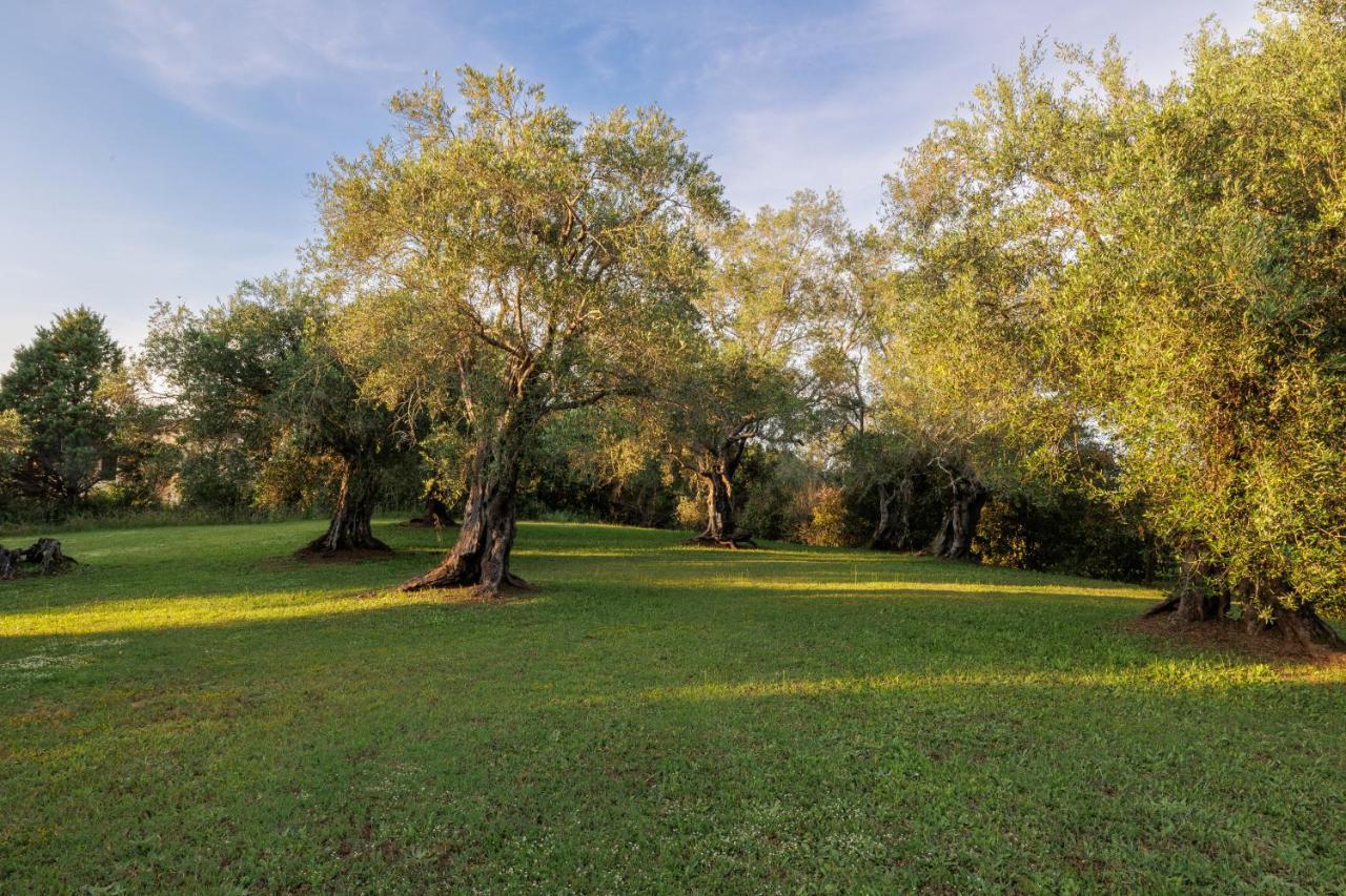 הוילה Áfra Triklino Estate מראה חיצוני תמונה